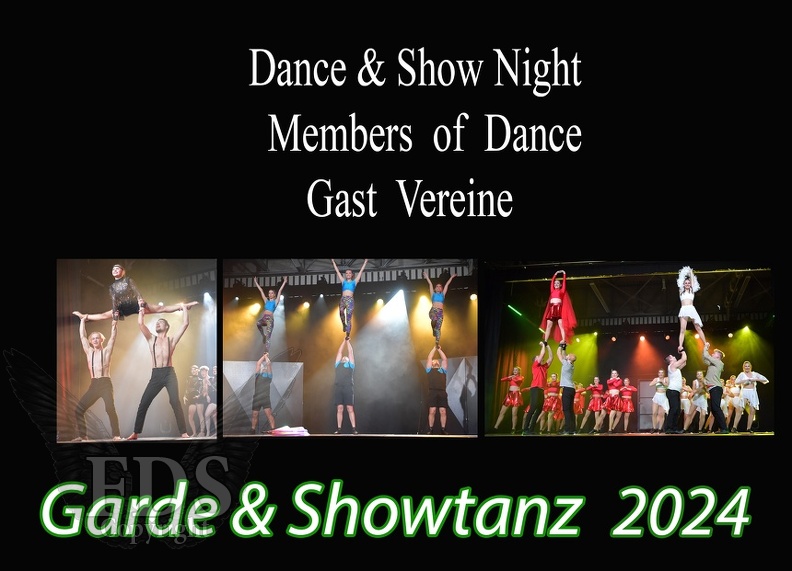 Dance und Show  Vereine.jpg