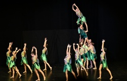 Narrengilde Kraiburg Show 2