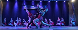 Cats  Formation CCBH Blaumeisen Husheim