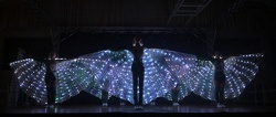 Showfunken Taufkirchen  3